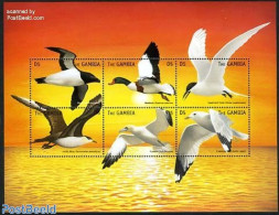 Gambia 1999 Sea Birds 6v M/s, Mint NH, Nature - Birds - Gambie (...-1964)
