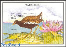 Gambia 1995 Moorhen S/s, Mint NH, Nature - Birds - Ducks - Gambie (...-1964)