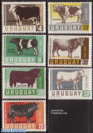 Uruguay 1966 Cattle 7v, Mint NH, Nature - Cattle - Uruguay