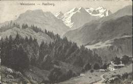 11026904 Hasliberg Weisstanne - Sonstige & Ohne Zuordnung
