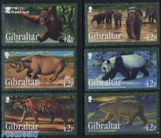 Gibraltar 2011 Endangered Animals 6v, Mint NH, Nature - Animals (others & Mixed) - Bears - Cat Family - Elephants - Mo.. - Gibraltar