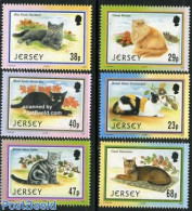 Jersey 2002 Cats 6v, Mint NH, Nature - Cats - Jersey