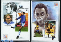 Gambia 1994 World Cup Football 2 S/s, Mint NH, Sport - Football - Gambia (...-1964)