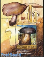Guinea, Republic 1985 Mushrooms S/s, Mint NH, Nature - Mushrooms - Hongos