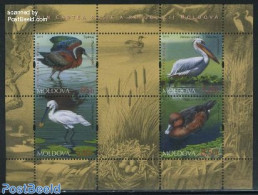 Moldova 2011 Birds 4v M/s, Mint NH, Nature - Animals (others & Mixed) - Birds - Ducks - Other & Unclassified