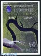 Guyana 2003 Int. Year Of Fresh Water S/s, Mint NH, Nature - Water, Dams & Falls - Guyane (1966-...)