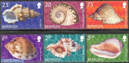 Bermuda 2003 Shells 6v, Mint NH, Nature - Shells & Crustaceans - Vie Marine