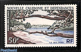 New Caledonia 1964 Pine Island 1v, Mint NH, Nature - Trees & Forests - Neufs