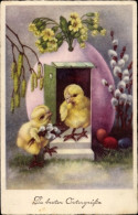 CPA Glückwunsch Ostern, Eierhaus, Küken, Ostereier, Weidenkätzchen - Easter