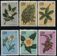 Cuba 1970 Medical Plants 6v, Mint NH, Health - Nature - Health - Flowers & Plants - Neufs