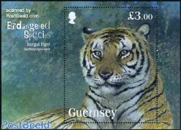 Guernsey 2012 Endangered Species, Bengal Tiger S/s, Mint NH, Nature - Animals (others & Mixed) - Cat Family - Guernesey