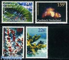 Dutch Caribbean 2011 Corals 4v, Mint NH, Nature - Shells & Crustaceans - Vie Marine