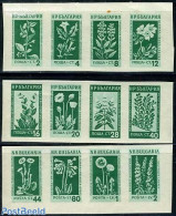 Bulgaria 1953 Flowers 12v Imperforated, Mint NH, Nature - Flowers & Plants - Nuevos