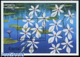 Maldives 1997 Exotic Plants S/s, Aerangis Rhodosticta, Mint NH, Nature - Flowers & Plants - Maldivas (1965-...)