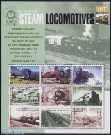Grenada Grenadines 2004 Steam Locomotives 9v M/s, Britannia Class 4-6-2, Mint NH, Transport - Railways - Trains