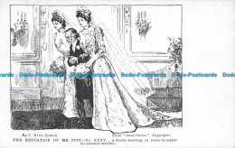 R055816 The Education Of Mr. Pipp. A Double Wedding. Snap Shots. C. Dana Gibson - Monde