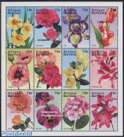 Barbuda 1997 Flowers 12v M/s, Mint NH, Nature - Flowers & Plants - Barbuda (...-1981)