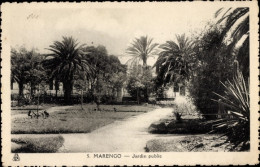 CPA Marengo Algerien, Öffentlicher Garten - Autres & Non Classés