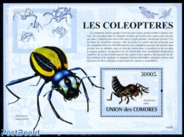 Comoros 2009 Beetles S/s, Mint NH, Nature - Insects - Isole Comore (1975-...)