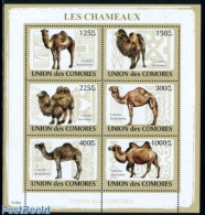 Comoros 2009 Camels 6v M/s, Mint NH, Nature - Animals (others & Mixed) - Camels - Comores (1975-...)