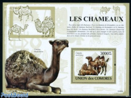 Comoros 2009 Camels S/s, Mint NH, Nature - Animals (others & Mixed) - Camels - Comoros