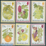 Bermuda 1994 Fruits 6v (without Year), Mint NH, Nature - Fruit - Obst & Früchte