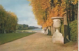 VERSAILLES, LE TAPIS VERT ET LE GRAND CANAL  COULEUR  REF 16439 - Versailles (Castillo)