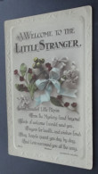 A Welcome To The Little Stranger - Lilywhite Halifax - Lilywhite Photographic Series - # 169.D - Sonstige & Ohne Zuordnung