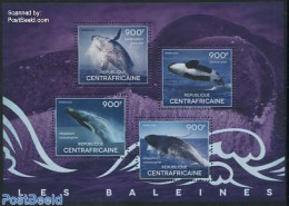 Central Africa 2014 Whales 4v M/s, Mint NH, Nature - Sea Mammals - Centraal-Afrikaanse Republiek