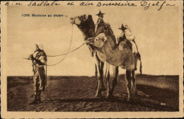 CPA Musiker In Der Wüste, Kamele, Maghreb - Autres & Non Classés