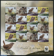 Falkland Islands 2009 WWF, Cobbs Wren M/s, Mint NH, Nature - Birds - World Wildlife Fund (WWF) - Autres & Non Classés