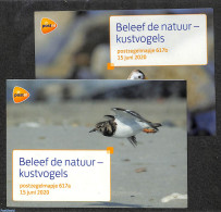 Netherlands 2020 Coastal Birds 10v, Presentation Pack 617a+b, Mint NH, Nature - Birds - Unused Stamps