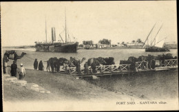 CPA Port Said Kantara Ägypten, Kamele Gehen über Einen Steg, Dampfschiff - Autres & Non Classés