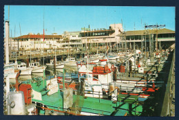 San Francisco. Fisherman's Wharf (Quai Des Pêcheurs ). Restaurants Alioto's Et Tantantino's. - San Francisco