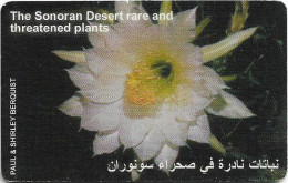 Jordan - Alo - The Sonoran Desert, 01.2001, 1JD, 100.000ex, Used - Giordania