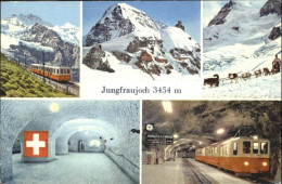 11018040 Jungfraujoch Zug Hund Obervatorium  Jungfraujoch - Autres & Non Classés