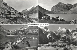 11018016 Gemmipass Wallis Kuehe Schafe Berg Restaurant Stock Sunnbuehl Gemmipass - Other & Unclassified