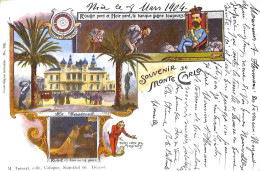 Souvenir De Monte Carlo - Le Casino Edit M. Teinert Colorisée 1904 - Monte-Carlo