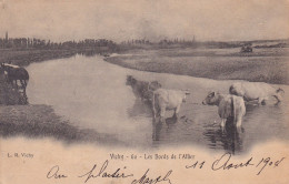 Vichy (03 Allier) Les Bords De L'Allier - Vaches Et Chevaux à Gué - édit. LR N° 60 Carte Précurseur Circulée 1904 - Vichy