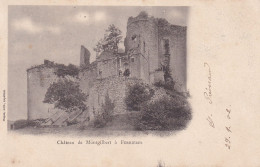 Ferrières (03 Allier) Château De Montgilbert - Ruines - édit. Hugon Carte Précurseur Circulée 1902 - Autres & Non Classés