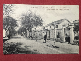 Cartolina Portugal - Santarem - Avenida 5 D'Outubro - Alameda Das Portas Do Sol - Ohne Zuordnung