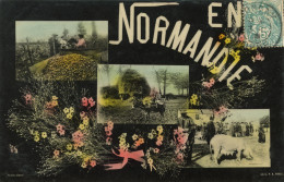 En Normandie - Carte Multi-vues 1906 - Basse-Normandie