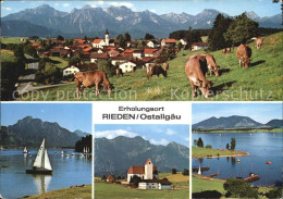 72532683 Rieden Allgaeu Panorama Weidevieh Segeln Kirche Seepartie Rieden Allgae - Füssen