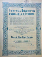 S.A. Tuileries & Briqueteries D'Oedelem & Extensions - Titre De 5 Parts Sociales - Industrie