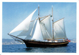 ISLA EBUSITANA - Frachtsegler (1856) / Modern Card - Segelboote