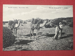Cartolina Coloniale - Somalia Italiana - Beduine Che Si Recano - Exposition 1911 - Autres & Non Classés