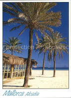 72531708 Alcudia Mallorca Strand Spanien - Other & Unclassified