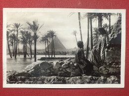 Cartolina - Cairo - Scenery Near The Pyramids - 1935 - Zonder Classificatie