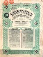 Tanganyika,  Goldfields Ltd - 25 Shares - 1929 - Mineral