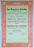Les Bruyères Avicoles - Wauthier-Braine - Action De Capital - 1948 - Sonstige & Ohne Zuordnung
